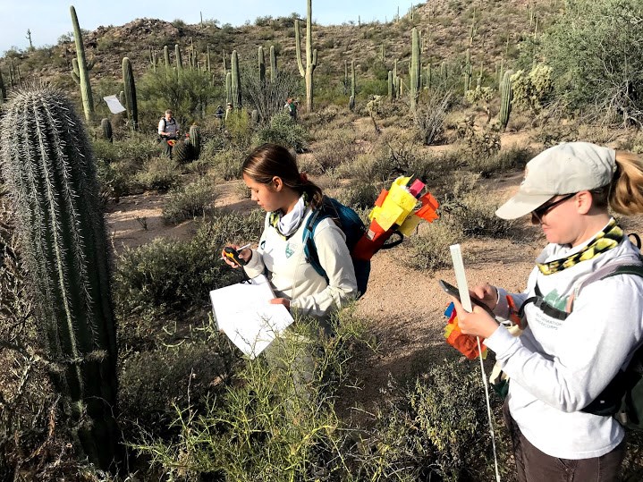 volunteers at saguaro